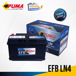 PUMA EFB LN4