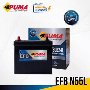 PUMA EFB N55L